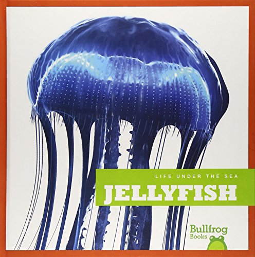 9781620310984: Jellyfish