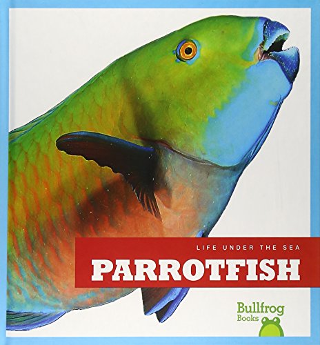 Stock image for Parrotfish for sale by Better World Books