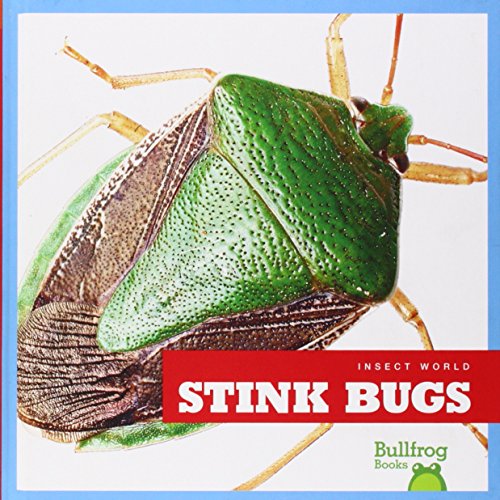 9781620311646: Stink Bugs (Bullfrog Books: Insect World)