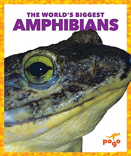 Beispielbild fr The World's Biggest Amphibians zum Verkauf von Better World Books