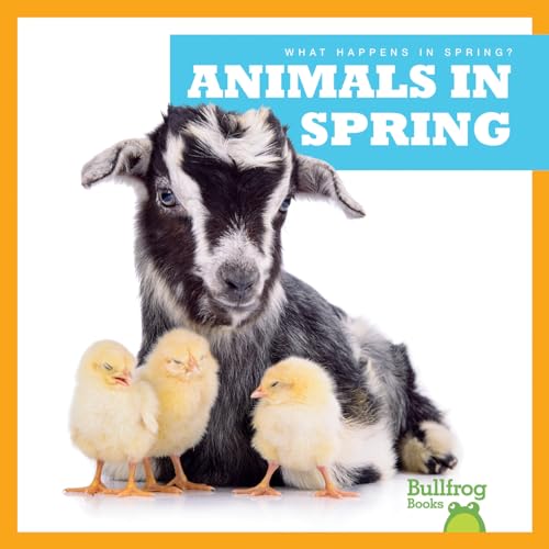 Imagen de archivo de Animals in Spring a la venta por ThriftBooks-Atlanta