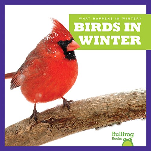 Beispielbild fr Birds in Winter (Bullfrog Books: What Happens in Winter?) zum Verkauf von BooksRun