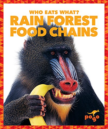 Beispielbild fr Rain Forest Food Chains zum Verkauf von ThriftBooks-Dallas