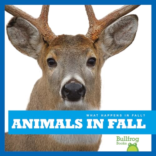 Stock image for Animals in Fall (Bullfrog Books: What Happens in Fall?) for sale by ZBK Books