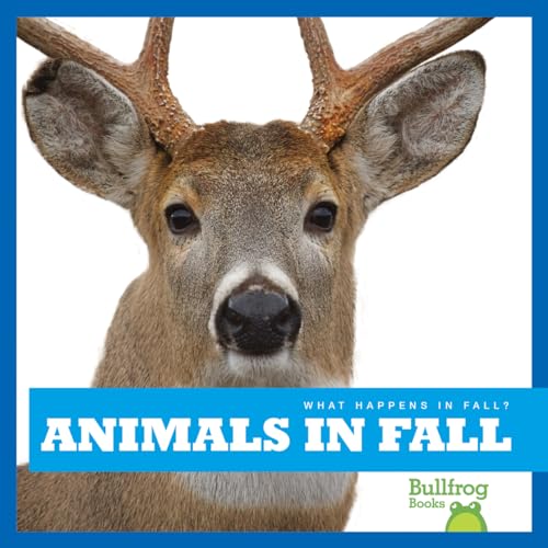 9781620314722: Animals in Fall (Bullfrog Books: What Happens in Fall?)