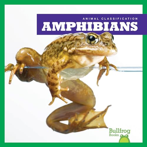 Stock image for Amphibians for sale by Better World Books