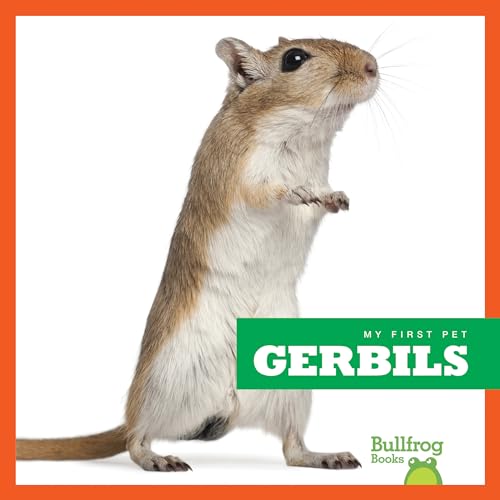 9781620315514: Gerbils (My First Pet)