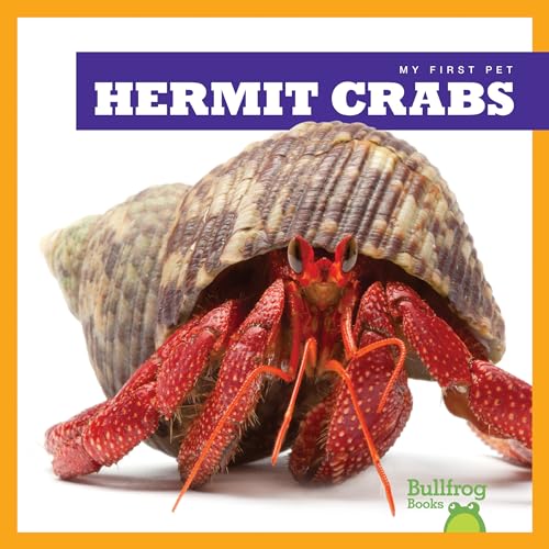 9781620315521: Hermit Crabs (My First Pet)