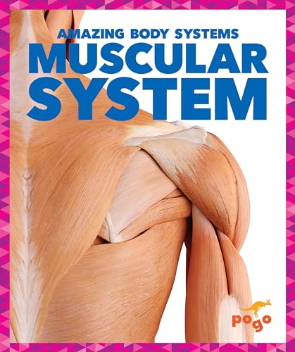 Stock image for Muscular System for sale by Better World Books