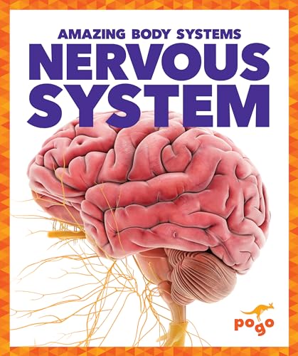 9781620315606: Nervous System (Pogo Books: Amazing Body Systems)