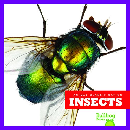 Beispielbild fr Insects zum Verkauf von Better World Books