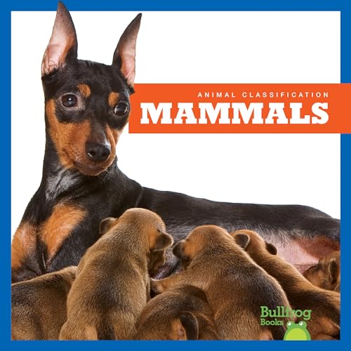 Stock image for Mammals (Bullfrog Books: Animal Classification) for sale by Goodwill