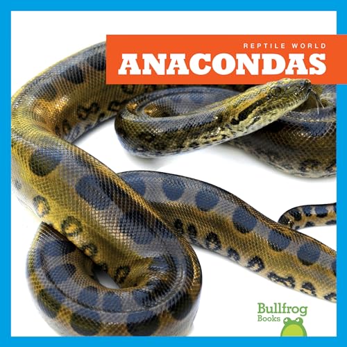 Imagen de archivo de Anacondas (Bullfrog Books: Reptile World) a la venta por Irish Booksellers