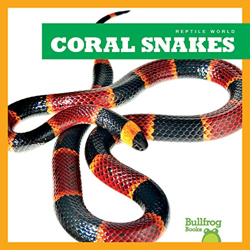 Imagen de archivo de Coral Snakes (Bullfrog Books: Reptile World) a la venta por ZBK Books