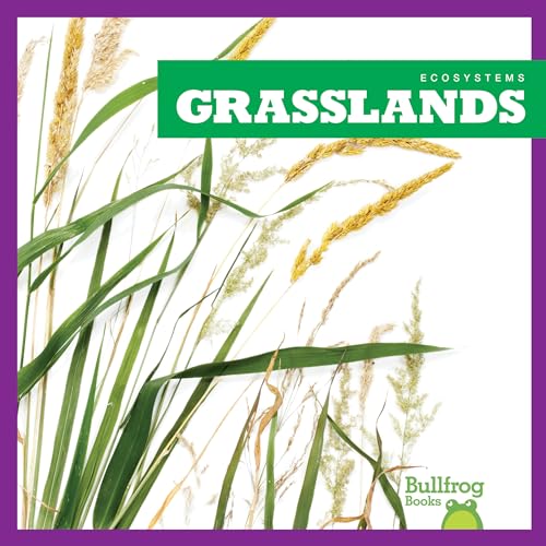 Stock image for Grasslands (Bullfrog Books: Ecosystems) for sale by SecondSale