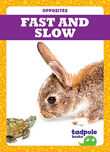 Beispielbild fr Fast and Slow zum Verkauf von Better World Books