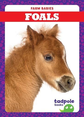 Beispielbild fr Foals zum Verkauf von Better World Books