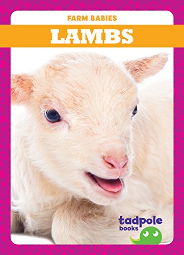 Beispielbild fr Lambs zum Verkauf von Better World Books