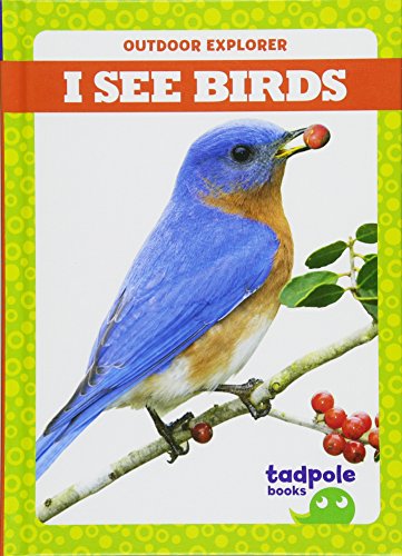 Beispielbild fr I See Birds zum Verkauf von Better World Books