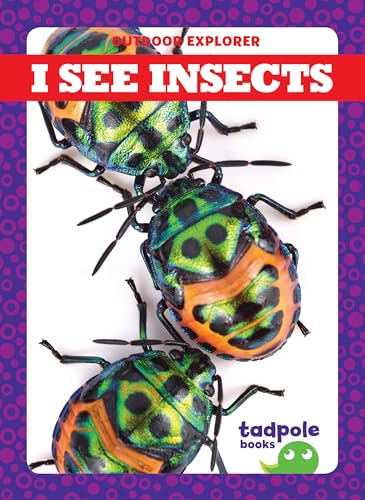 Beispielbild fr I See Insects zum Verkauf von Better World Books