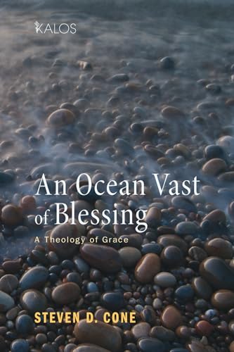 9781620322482: An Ocean Vast of Blessing: A Theology of Grace