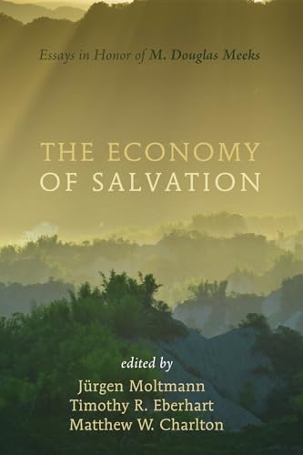 Imagen de archivo de The Economy of Salvation : Essays in Honor of M. Douglas Meeks a la venta por Better World Books