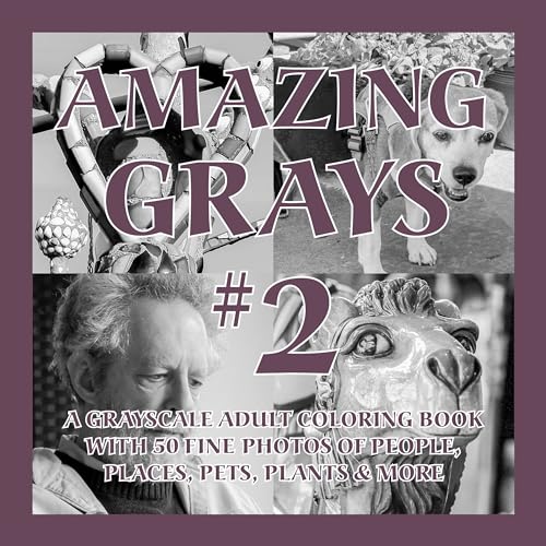 Stock image for Amazing Grays #2: A Grayscale Adult Coloring Book with 50 Fine Photos of People, Places, Pets, Plants & More (Amazing Grayscale, Band 2) for sale by Buchpark