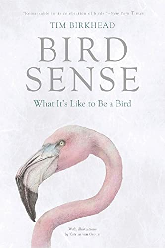 Beispielbild fr Bird Sense: What It's Like to Be a Bird zum Verkauf von HPB-Movies