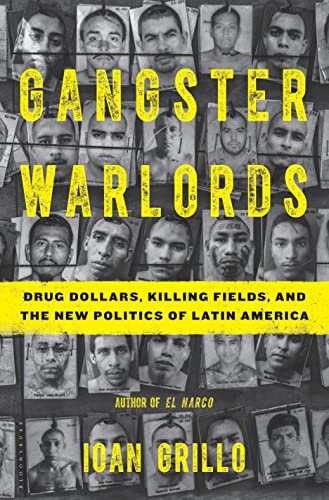 Imagen de archivo de Gangster Warlords: Drug Dollars, Killing Fields, and the New Politics of Latin America a la venta por GoodwillNI