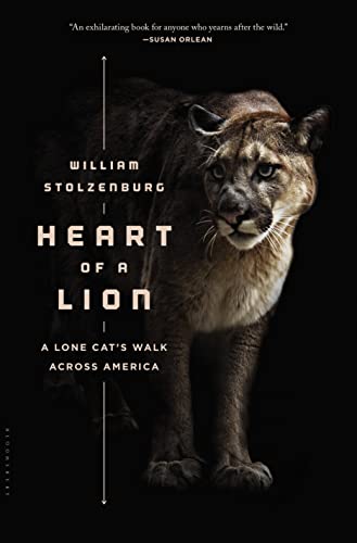 Stock image for Heart of a Lion : A Lone Cat's Walk Across America for sale by Better World Books