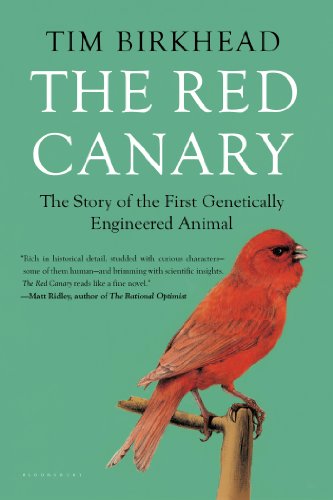 Beispielbild fr The Red Canary: The Story of the First Genetically Engineered Animal zum Verkauf von ThriftBooks-Dallas
