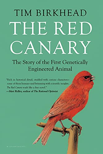 Imagen de archivo de The Red Canary : The Story of the First Genetically Engineered Animal a la venta por Better World Books: West