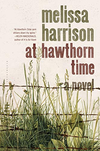 Stock image for At Hawthorn Time for sale by Better World Books: West