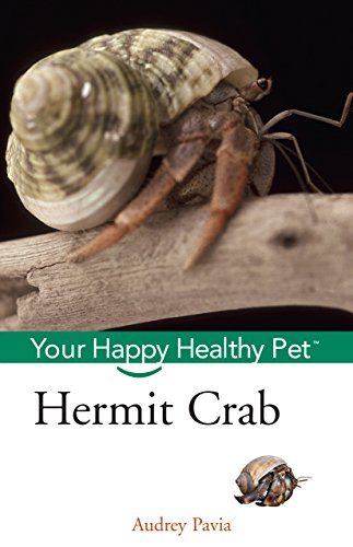 9781620458105: Hermit Crab: Your Happy Healthy Pet: 51 (Your Happy Healthy Pet Guides)