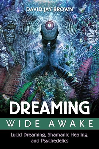 Beispielbild fr Dreaming Wide Awake: Lucid Dreaming, Shamanic Healing, and Psychedelics zum Verkauf von Friends of  Pima County Public Library