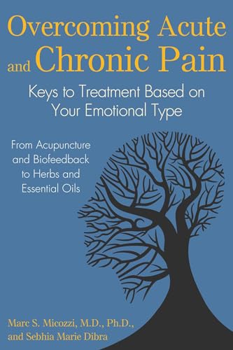 Imagen de archivo de Overcoming Acute and Chronic Pain: Keys to Treatment Based on Your Emotional Type a la venta por HPB-Emerald