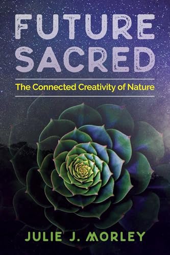 Imagen de archivo de Future Sacred: The Connected Creativity of Nature a la venta por Reliant Bookstore