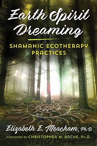 Imagen de archivo de Earth Spirit Dreaming: Shamanic Ecotherapy Practices a la venta por Magers and Quinn Booksellers