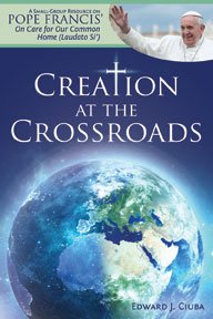 Beispielbild fr Creation at the Crossroads: A Small-Group Resource on Pope Francis' Laudato Si zum Verkauf von ZBK Books