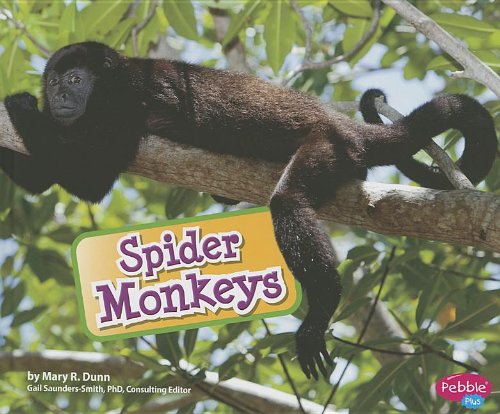 Stock image for Spider Monkeys for sale by Gulf Coast Books