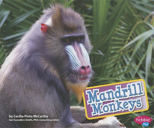 Beispielbild fr Mandrill Monkeys zum Verkauf von Better World Books