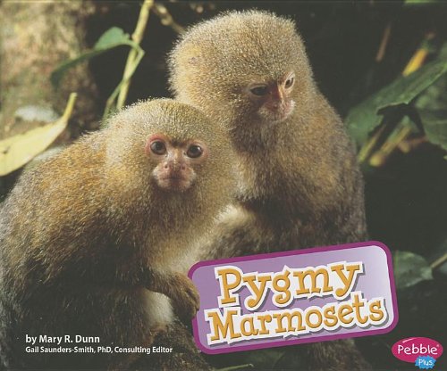 Stock image for Pygmy Marmosets for sale by Better World Books