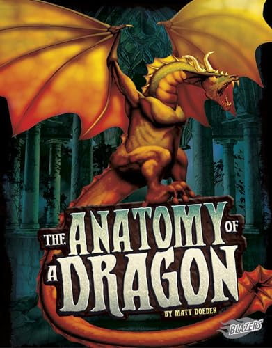 Stock image for Anatomy of a Dragon for sale by Better World Books