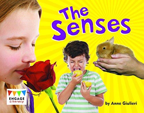 Stock image for The Senses for sale by SecondSale