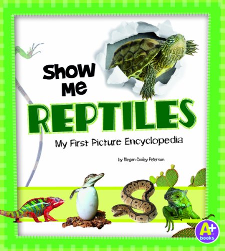 Stock image for Show Me Reptiles: My First Picture Encyclopedia (A+ Books: My First Picture Encyclopedias) for sale by Hay-on-Wye Booksellers