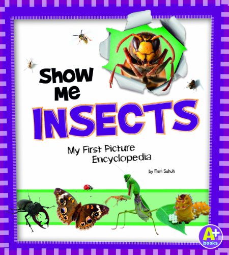 Stock image for Show Me Insects: My First Picture Encyclopedia (A+ Books: My First Picture Encyclopedias) for sale by Hay-on-Wye Booksellers