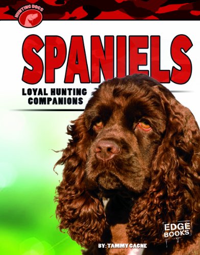 9781620659380: Spaniels: Loyal Hunting Companions