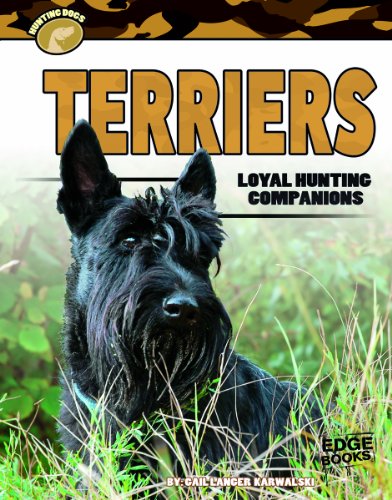 9781620659397: Terriers: Loyal Hunting Companions (Hunting Dogs)
