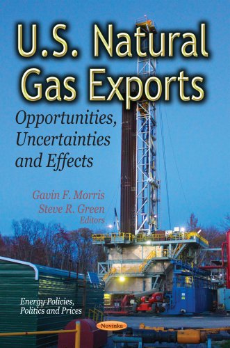 9781620816684: U.S. Natural Gas Exports: Opportunities, Uncertainties & Effects (Energy Policies, Politics and Prices: Energy Science, Engineering and Technology)