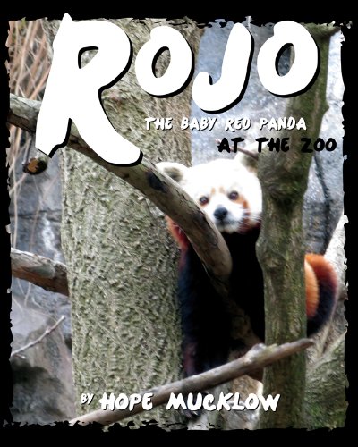 Beispielbild fr Rojo the Baby Red Panda at the Zoo: An Allegory about Self-Worth Through a Red Panda and Giant Panda Comparison zum Verkauf von Wonder Book